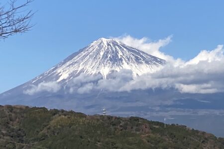 新年を迎えて…